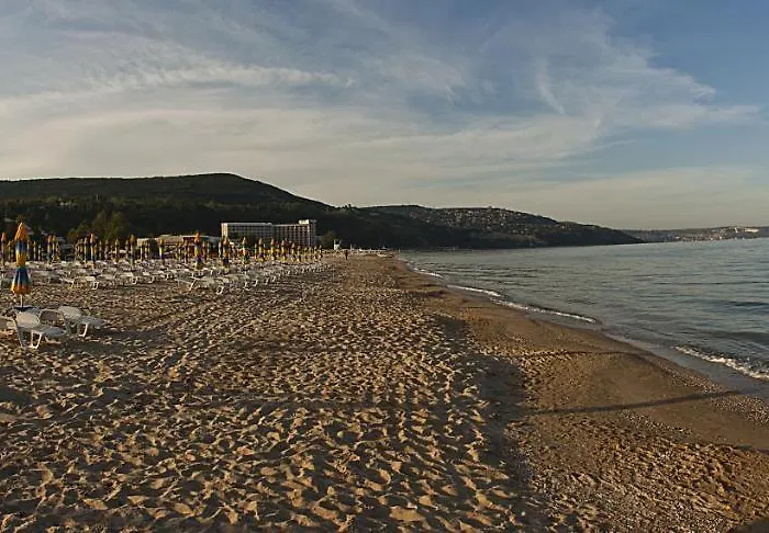 Hotel Flamingo 4* 4*